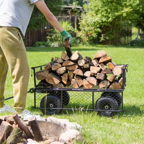 Stahlwagen Meteor TW-100 grun