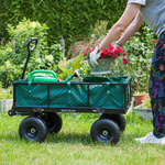 Stahlwagen Meteor TW-100 grun