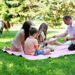 Picknickdecke Meteor 2XL 200x200 cm pink