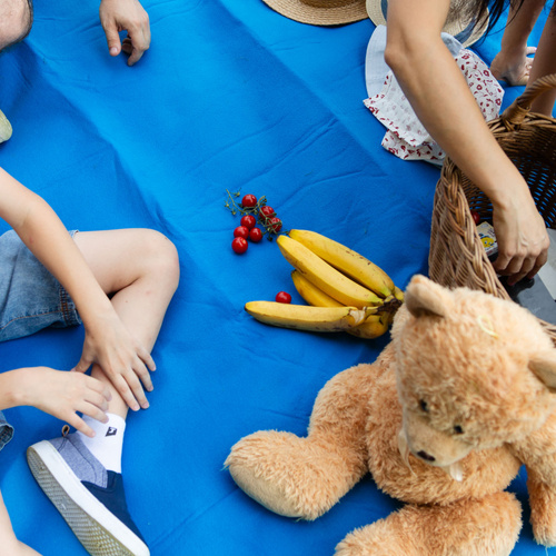 Picknickdecke Meteor 2XL 200x200 cm blau