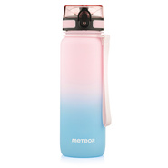Sport-Bidon Meteor 800 ml pink/blau