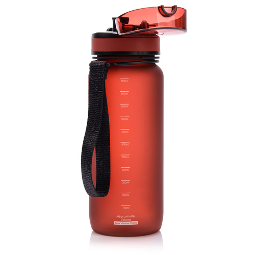 Sport-Bidon Meteor 650 ml rot