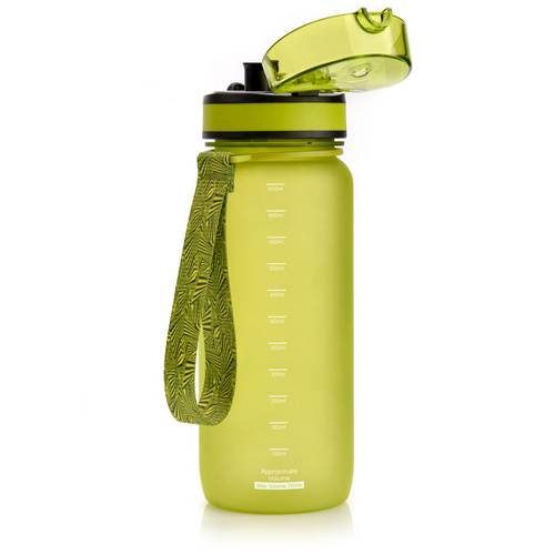 Sport-Bidon Meteor 650 ml grün