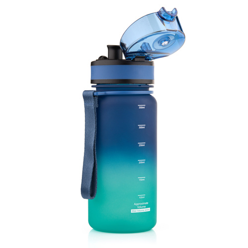 Sport-Bidon Meteor 350ml blau/türkis