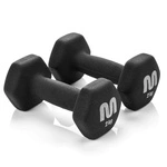 Gusseisenhantelset 2x2 kg Meteor