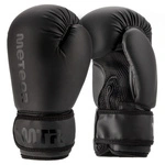 Boxhandschuhe Meteor 10 oz Training, Klettverschluss, PU